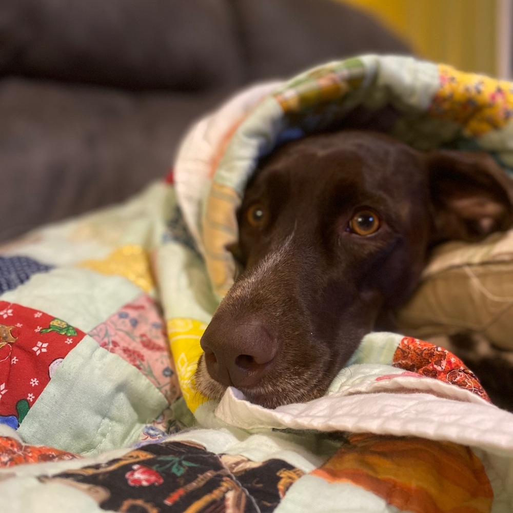 Meet your Posher, Alisha